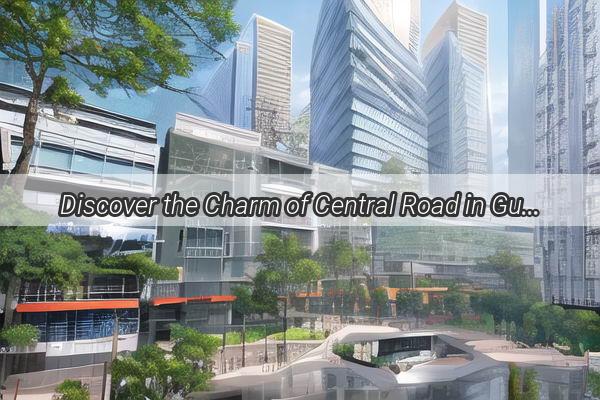 Discover the Charm of Central Road in Guangzhou A Hidden Gem in the Heart of the City